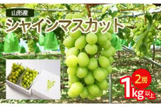  山形市産 シャインマスカット 秀 1kg以上(2房)[前半] 【令和7年産先行予約】FU22-083 くだもの 果物 フルーツ 山形 山形県 山形市 2025年産
