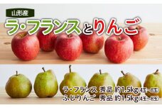 山形ラ・フランスとりんごのセット 秀品 約3kg 【令和7年産先行予約】FS22-131