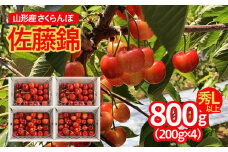 山形市産 さくらんぼ 佐藤錦 L以上 800g(200g×4パック) FS24-670