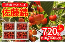 山形市産 さくらんぼ 佐藤錦 L以上 720g(180g×4パック) 【令和8年産先行予約】 FS25-531 くだもの 果物 フルーツ 山形 山形県 山形市 2026年産