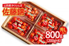 山形のさくらんぼ 佐藤錦 800g Lサイズ以上(200g×4パック) 【令和7年産先行予約】FS24-551くだもの 果物 フルーツ 山形 山形県 山形市 2025年産