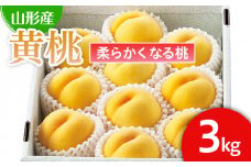  山形の桃(黄桃) 3kg(6～12玉)(品種おまかせ)[柔らかくなる桃] 【令和7年産先行予約】FU22-179 フルーツ くだもの 果物 山形 山形県 山形市 2025年産