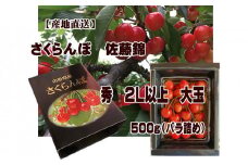 [産地直送] 大玉さくらんぼ 佐藤錦 2L以上 大玉 500g(バラ詰め) 【令和7年産先行予約】FU22-122 くだもの 果物 フルーツ 山形 山形県 山形市 2025年産