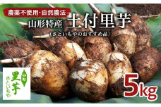 農薬不使用 自然農法 山形特産 土付里芋 5kg!(さといもやのおすすめ品) FZ23-135