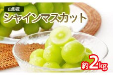 シャインマスカット 秀 約2kg(3～4房) 【令和7年産先行予約】FU22-187 くだもの 果物 フルーツ 山形 山形県 山形市 2025年産