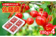 山形市産 さくらんぼ 佐藤錦 L以上 180g×4パック バラ詰め 【令和7年産先行予約】FU24-618