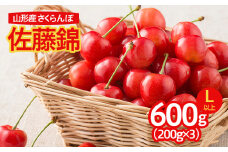  さくらんぼ 佐藤錦 600g(200ｇ×3パック)L以上 フードパック 【令和7年産先行予約】FS24-579くだもの 果物 フルーツ 山形 山形県 山形市 2025年産