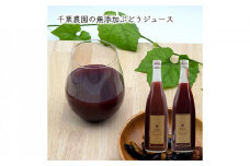 山形の無添加ぶどうジュース 600ml×2本セット(デラウェア) FZ23-147