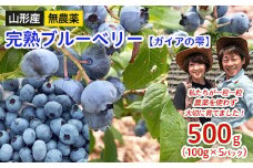 山形産 無農薬 完熟ブルーベリー【ガイアの雫】500g(100g×5パック) 【令和7年産先行予約】FS24-500くだもの 果物 フルーツ 山形 山形県 山形市 2025年産