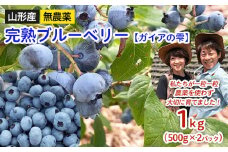 山形産 無農薬 完熟ブルーベリー【ガイアの雫】1kg(500g×2パック) 【令和7年産先行予約】FU22-309 くだもの 果物 フルーツ 山形 山形県 山形市 2025年産