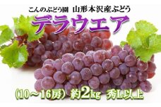 【こんのぶどう園】山形本沢産 ぶどう デラウェア 秀L以上 約2kg(10～16房) 【令和7年産先行予約】FU22-322 くだもの 果物 フルーツ 山形 山形県 山形市 2025年産