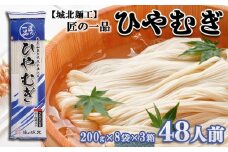 【城北麺工】夏季限定！匠の一品 ひやむぎ 48人前  FZ22-830