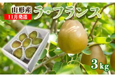 山形のラ・フランス 秀 約3kg(6～9玉 3L～6L)[11月発送]  FZ22-961