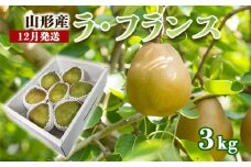 山形のラ・フランス 秀 約3kg(6～9玉・3L～6L)[12月発送]  FZ22-959