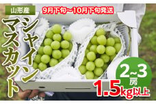 山形市産 シャインマスカット 秀1.5kg以上(2~3房）【前半】 FZ22-331
