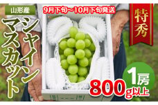 山形市産 シャインマスカット 特秀 1房 800g以上【前半】  FZ21-909