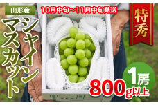 山形市産 シャインマスカット 特秀 1房 800g以上【後半】  FZ22-999