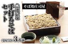 【そば処庄司屋】急速冷凍 手打ちそばセット(薬味付き)[3人前] FZ22-396 蕎麦 山形 山形県 山形市