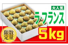 ☆フルーツ王国山形☆【家庭用】ラ・フランス 5kg FY25-888