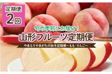 【定期便2回】やまもりやまがたの秋冬定期便～もも・りんご～ 【令和7年産先行予約】FU22-902 くだもの 果物 フルーツ 山形 山形県 山形市 2025年産
