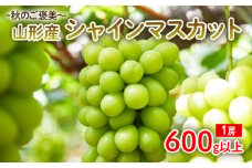 ～秋のご褒美～シャインマスカット1房 600g以上 【令和7年産先行予約】FU22-016 くだもの 果物 フルーツ 山形 山形県 山形市 2025年産
