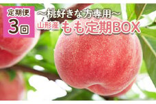 【定期便3回】～桃好きな方専用～もも定期BOX～ 【令和7年産先行予約】FU22-019 くだもの 果物 フルーツ 山形 山形県 山形市 2025年産