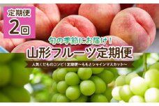 【定期便2回】人気くだものコンビ！定期便～ももとシャインマスカット～ 【令和7年産先行予約】FU22-022 くだもの 果物 フルーツ 山形 山形県 山形市 2025年産