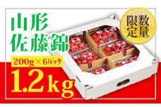 ★山形さくらんぼ佐藤錦☆Lサイズ以上200g×6 【令和7年産先行予約】FS24-672 くだもの 果物 フルーツ 山形 山形県 山形市 2025年産