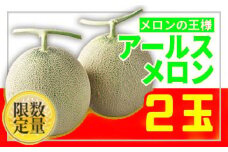 ★フルーツ王国山形★アールスメロン 秀品 2玉 約3kg 【令和7年産先行予約】FS24-601くだもの 果物 フルーツ 山形 山形県 山形市 2025年産