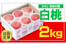 ☆フルーツ王国山形☆白桃 秀品 2kg(かたいままの桃) FS24-684