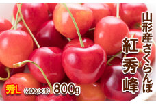 さくらんぼ 紅秀峰 Lサイズ 800g(200g×4パック) 【令和7年産先行予約】FS24-609くだもの 果物 フルーツ 山形 山形県 山形市 2025年産