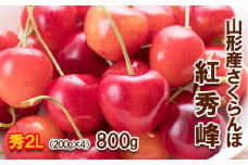 さくらんぼ 紅秀峰 "希少な大粒" 2Lサイズ 800g(200g×4パック) 【令和7年産先行予約】FU22-008 くだもの 果物 フルーツ 山形 山形県 山形市 2025年産