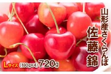 さくらんぼ 佐藤錦 Lサイズ 720g(180g×4パック) 【令和8年産先行予約】FS25-568 くだもの 果物 フルーツ 山形 山形県 山形市 2026年産