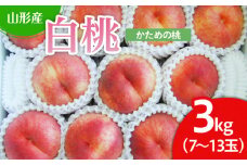 山形市産 白桃 3kg(かための桃) 【令和7年産先行予約】FU22-025 くだもの 果物 フルーツ 山形 山形県 山形市 2025年産