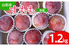 山形市産 すもも(秋姫) 1.2kg(7～12玉） 【令和7年産先行予約】FU22-026 くだもの 果物 フルーツ 山形 山形県 山形市 2025年産