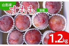 山形市産 すもも(秋姫) 1.2kg(7～12玉） 【令和7年産先行予約】FU22-026 くだもの 果物 フルーツ 山形 山形県 山形市 2025年産