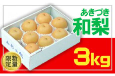 ☆フルーツ王国山形☆和梨(あきづき) 秀品 3kg 【令和7年産先行予約】FU22-028 くだもの 果物 フルーツ 山形 山形県 山形市 2025年産