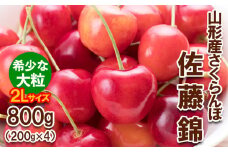 さくらんぼ 佐藤錦”希少な大粒” 2Lサイズ 800g(200g×4パック) 【令和7年産先行予約】FS24-611くだもの 果物 フルーツ 山形 山形県 山形市 2025年産