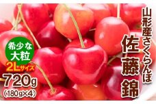 さくらんぼ 佐藤錦”希少な大粒” 2Lサイズ 720g(180g×4パック) 【令和8年産先行予約】FS25-569 くだもの 果物 フルーツ 山形 山形県 山形市 2026年産