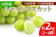 山形市産 シャインマスカット 秀 約2kg(2～6房)[後半] 【令和7年産先行予約】FS24-660くだもの 果物 フルーツ 山形 山形県 山形市 2025年産