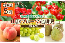 【定期便5回】山形果実の彩 【令和7年産先行予約】FU22-942 くだもの 果物 フルーツ 山形 山形県 山形市 2025年産