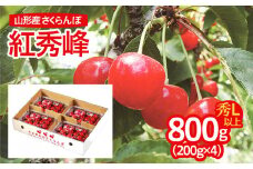 山形産 さくらんぼ(紅秀峰) L以上 800g(200g×4パック) 【令和7年産先行予約】FU22-715 フルーツ くだもの 果物 山形 山形県 山形市 2025年産
