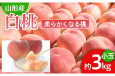 人気です！山形産 白桃 小玉 秀品 3kg[柔らかくなる桃] 【令和7年産先行予約】FU22-745 くだもの 果物 フルーツ 山形 山形県 山形市 2025年産