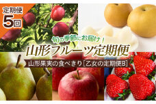 【定期便5回】山形果実の食べきり[乙女の定期便B] 【令和7年産先行予約】FU22-949 フルーツ定期便 くだもの 果物 すもも 秋姫 なし 梨 洋梨 洋なし ラ・フランス ラフランス 和梨 あきづき りんご 林檎 ふじ いちご 苺 山形 山形県 山形市 2025年産