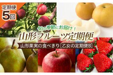 【定期便5回】山形果実の食べきり[乙女の定期便B] 【令和7年産先行予約】FU22-949 フルーツ定期便 くだもの 果物 すもも 秋姫 なし 梨 洋梨 洋なし ラ・フランス ラフランス 和梨 あきづき りんご 林檎 ふじ いちご 苺 山形 山形県 山形市 2025年産