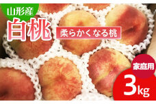  【ご家庭用】山形の桃(白桃) 3kg(6～12玉) 9月発送 (品種おまかせ)[柔らかくなる桃] 【令和7年産先行予約】FU22-782 フルーツ くだもの 果物 山形 山形県 山形市 2025年産