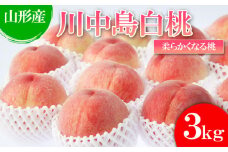  【白桃】川中島白桃 3kg(6～12玉)[柔らかくなる桃] 【令和7年産先行予約】FU22-783 くだもの 果物 フルーツ 山形 山形県 山形市 2025年産