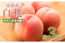 パリっとおどろき食感！山形産もも 3kg(7～11玉) [硬いままの桃] 【令和7年産先行予約】FU22-787 くだもの 果物 フルーツ 山形 山形県 山形市 2025年産
