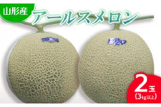  山形産アールスメロン 2玉 (3kg以上) 【令和7年産先行予約】FU22-784 くだもの 果物 フルーツ 山形 山形県 山形市 2025年産
