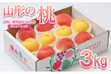 山形の桃 3kg(6～12玉)[白桃・黄桃詰め合わせ(柔らかくなる桃)] 【令和7年産先行予約】FU22-048 フルーツ くだもの 果物 山形 山形県 山形市 2025年産